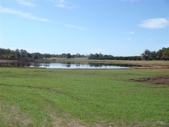 DSC00585