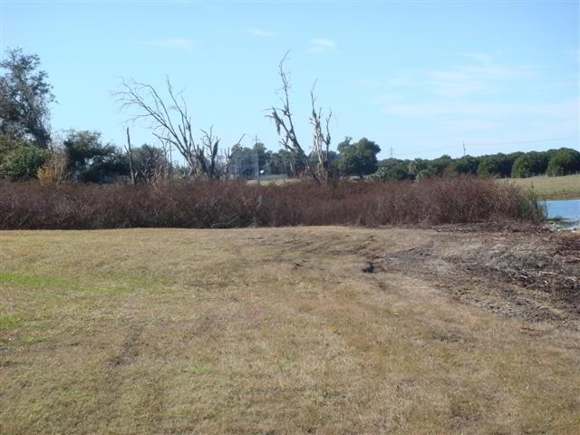 DSC00587